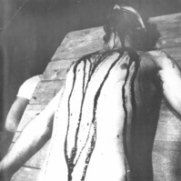 1981_1990\1985.0284p27.jpg; 1985.0284; ;